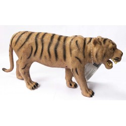 TIGRE 30 CMS NATIONAL GEOGRAPHIC