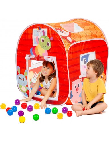 CASA DE ACTIVIDADES + 25 PELOTAS