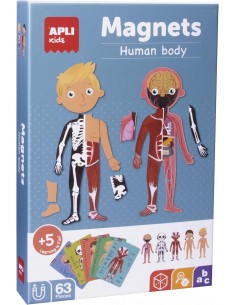 MAGNETI CUERPO HUMANO