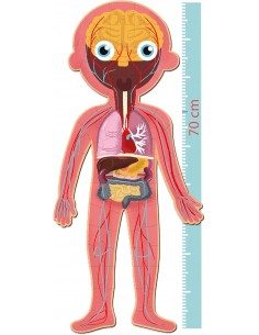 PUZZLE CUERPO HUMANO 240... 2