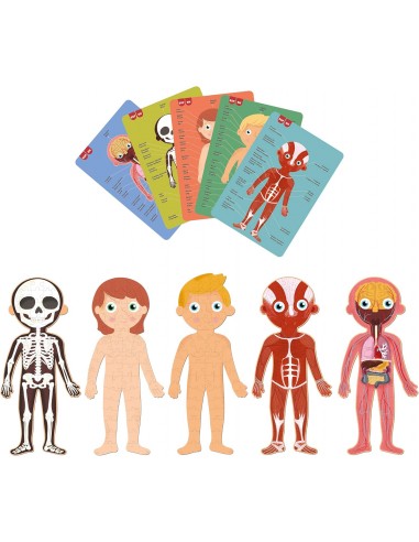 PUZZLE CUERPO HUMANO 240 PIEZAS