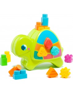 TORTUGA DE ACTIVIDADES MOLTO 2