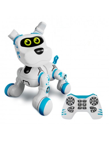 BOBBY CRAZY PETS STREM BOTS