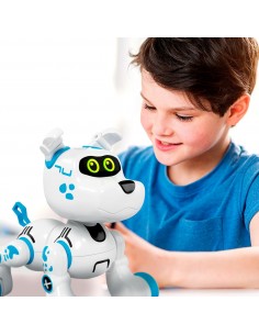 BOBBY CRAZY PETS STREM BOTS 2