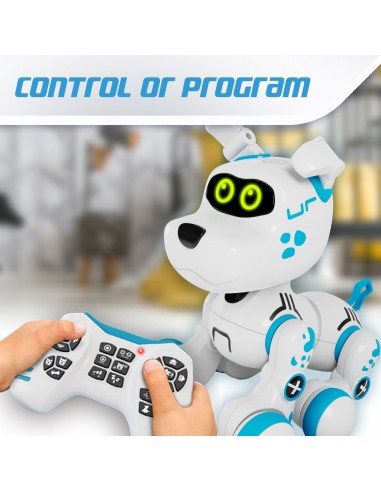 BOBBY CRAZY PETS STREM BOTS