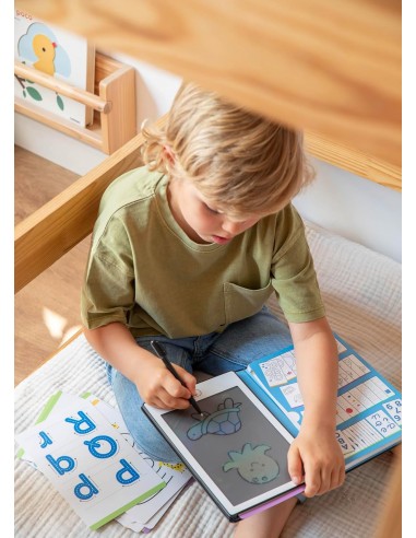 APLI PIZARRA LCD CON PLANTILLAS