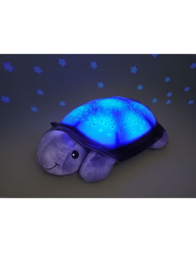 CLOUD B TWILIGHT TURTLE