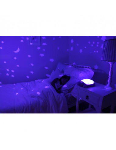 CLOUD B TWILIGHT TURTLE