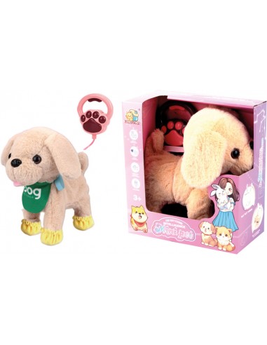 PERRO MARRON ANDADOR CON CORREA