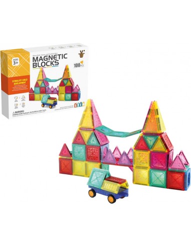 CAJA MAGNETICS 100 PIEZAS
